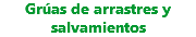 Grúas de arrastres y salvamientos