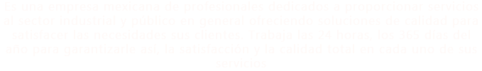 Es una empresa mexicana de profesionales dedicados a proporcionar servicios al sector industrial y público en general ofreciendo soluciones de calidad para satisfacer las necesidades sus clientes. Trabaja las 24 horas, los 365 días del año para garantizarle así, la satisfacción y la calidad total en cada uno de sus servicios